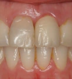 Birkbeck Dentistry