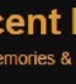 Magnificent Memory