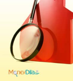 MoneyDila