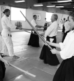 Aikido of Shin Sen