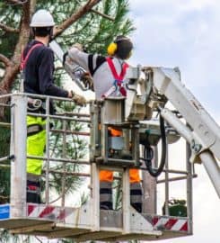 JFO Tree Service