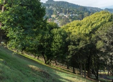 Fernwood Cemetery