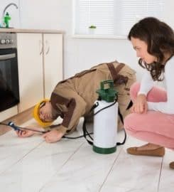 Kalamazoo Pest Control Pros