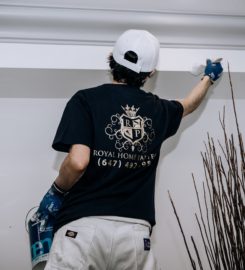 Royal Home Painters – House Painting – Kitchen Cabine &hellip;