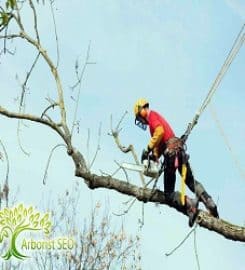 Arborist SEO