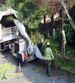 Arborist SEO