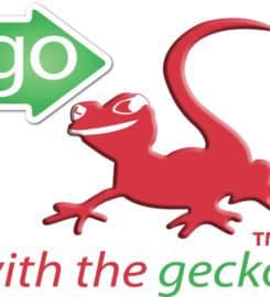 Go With The Gecko
