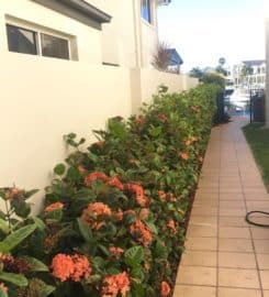 Red's Landscaping and Design