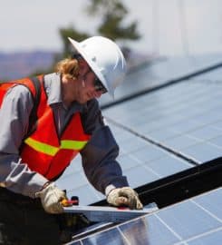 All Green Environmental Solutions