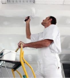 Property Painting Pros