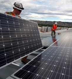 All Green Environmental Solutions