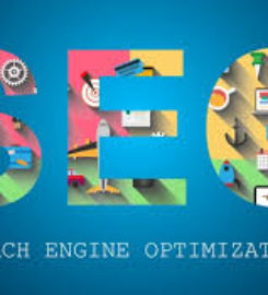 NY SEO Domination and Supremacy