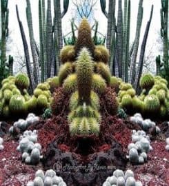 Photo Art by Kevin