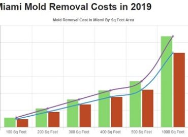 All US Mold Removal Miami FL