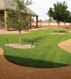 Green World Technology