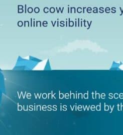 Bloocow Digital Marketing Agency Perth
