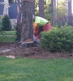 Hawthorne’s Tree Service Lakeland FL