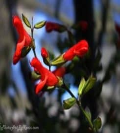 Photo Art by Kevin