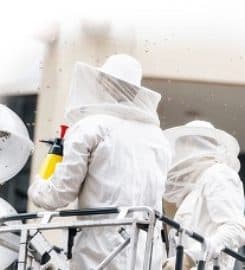 Beehive Removal and Repair LLC