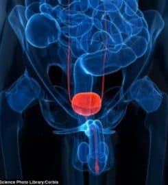 Best Urologist In North Delhi | Dr. Anish Gupta