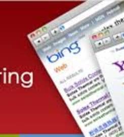 NY SEO Domination and Supremacy