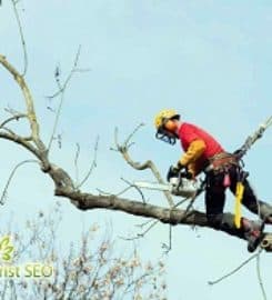 Arborist SEO