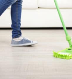 New West Housecleaners & Maids