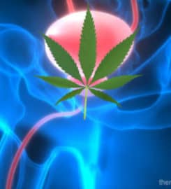 Best Urologist In North Delhi | Dr. Anish Gupta