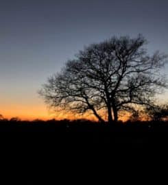 Suffolk Yurt Holidays