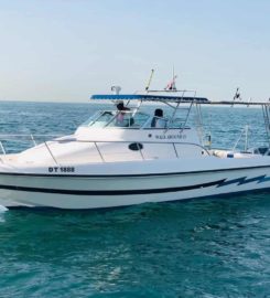 Boat Tour Dubai
