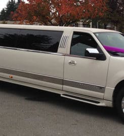 Best Limo Rental Services in Surrey,Vancouver and Langley