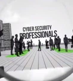 Steppa Cyber Security