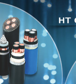 DINESH ELECTRIC CORPORATION