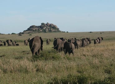 SED ADVENTURES TOURS AND SAFARIS