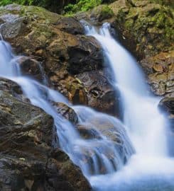 St Lucia Advance Tours