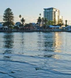Mandurah SEO & Web Design
