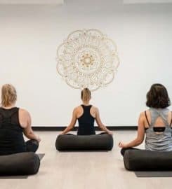 Momentum Yoga