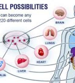 Entebella Medical