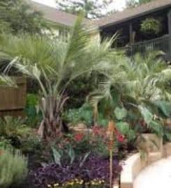 Boca Raton Landscape Design