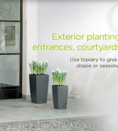 Urban Greens Ltd