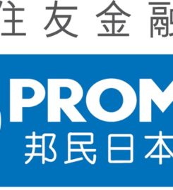 Promise (Hong Kong) Co. Limited