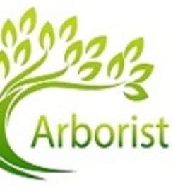 Arborist SEO