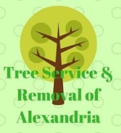 Tree Service & Removal of Alexandria