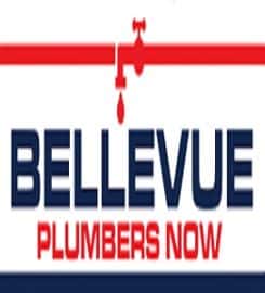 Bellevue Plumbers Now