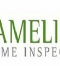 Amelia’s Home Inspection Milwaukee