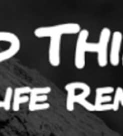 Wild Thingz Wildlife Removal