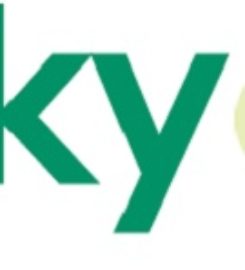 Chunky Onion Productions Limited