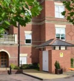 Real Acorn Property Solutions