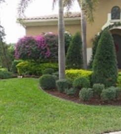 Boca Raton Landscape Design