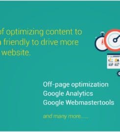 SEORAISERS – Best SEO Company in Chandigarh